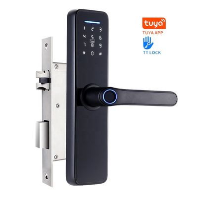Rosh Ttlock Tuya অ্যাপ স্মার্ট ইলেকট্রনিক লক ওয়াইফাই পাসওয়ার্ড লক